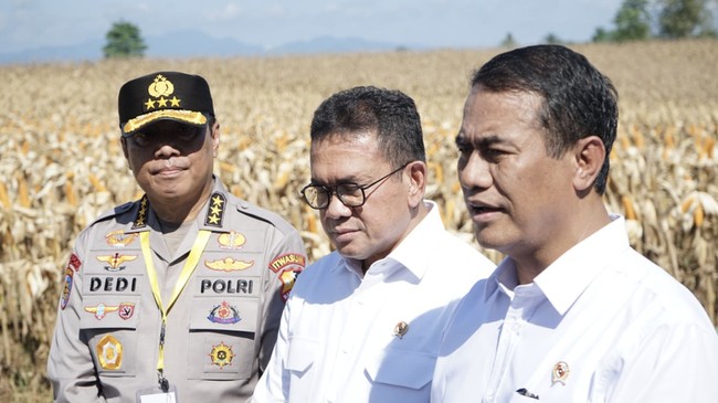 Situs News Indoesia Alternatif Informasi Berita Viral Terbaru