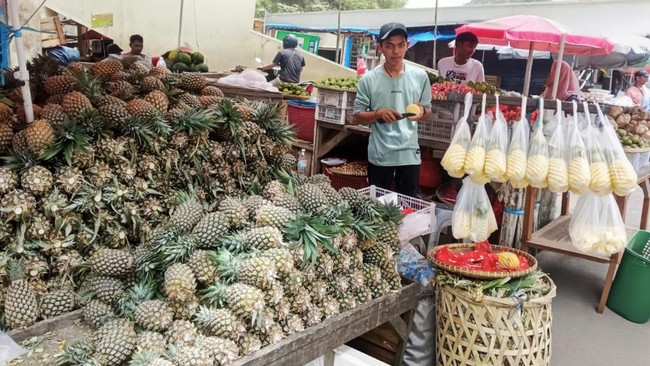 Situs News Indoesia Alternatif Informasi Berita Viral Terbaru