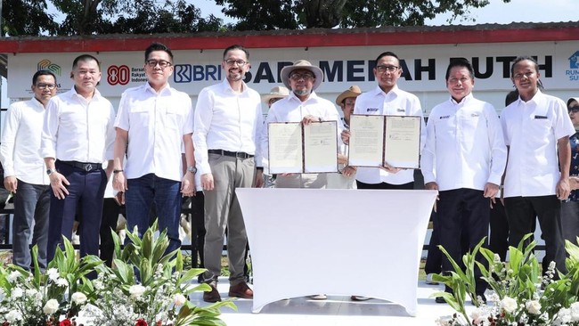 Situs News Indoesia Alternatif Informasi Berita Viral Terbaru