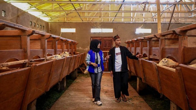 Situs News Indoesia Alternatif Informasi Berita Viral Terbaru