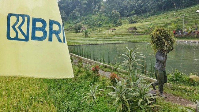 Situs News Indoesia Alternatif Informasi Berita Viral Terbaru