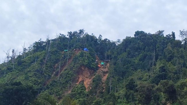 Situs News Indoesia Alternatif Informasi Berita Viral Terbaru