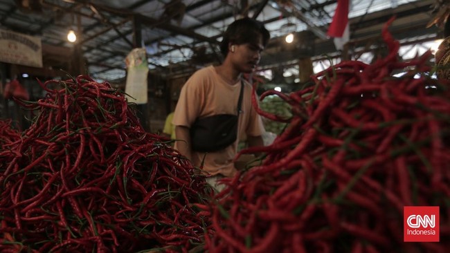 Situs News Indoesia Alternatif Informasi Berita Viral Terbaru