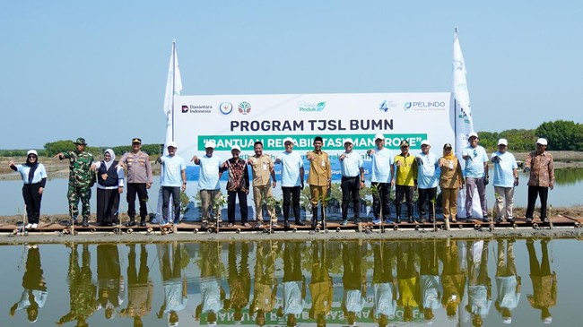 Situs News Indoesia Alternatif Informasi Berita Viral Terbaru