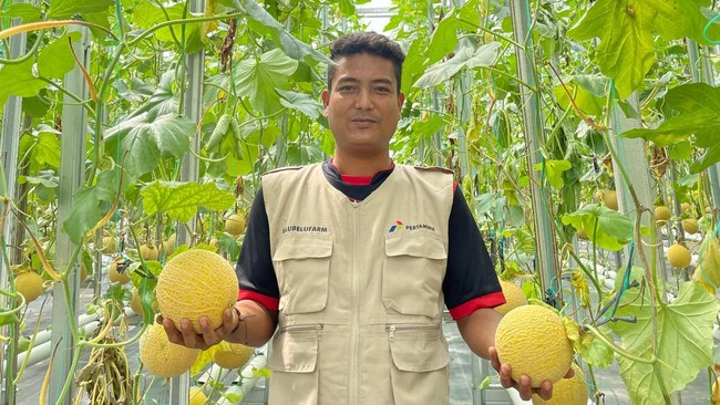 Situs News Indoesia Alternatif Informasi Berita Viral Terbaru