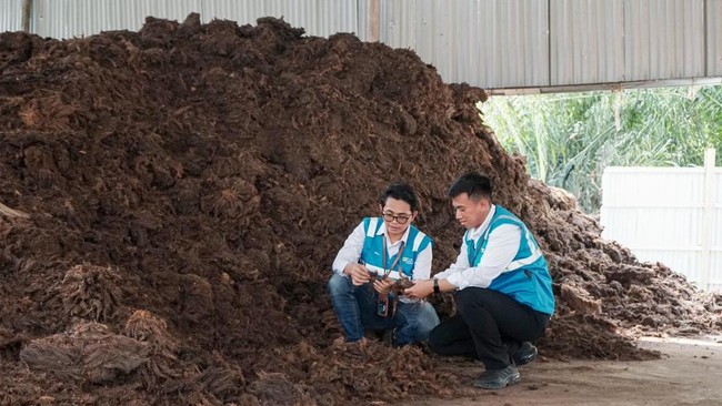 Situs News Indoesia Alternatif Informasi Berita Viral Terbaru