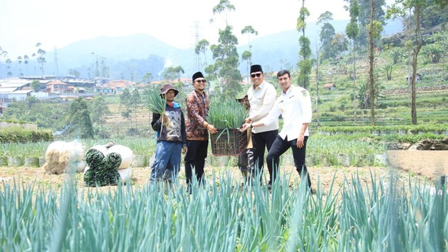 Situs News Indoesia Alternatif Informasi Berita Viral Terbaru