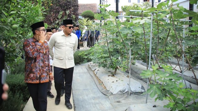 Situs News Indoesia Alternatif Informasi Berita Viral Terbaru