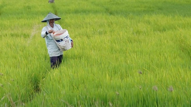 Situs News Indoesia Alternatif Informasi Berita Viral Terbaru